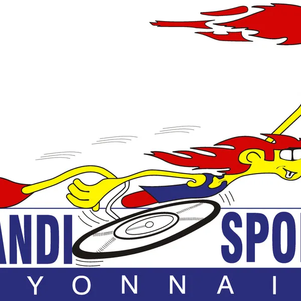 Top N Sport Don Handisport Lyonnais don