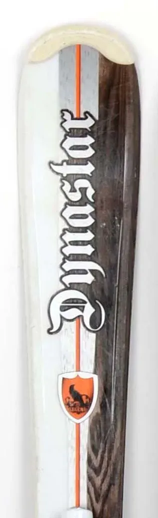 Dynastar Legend Team Big Dump skis occasion junior