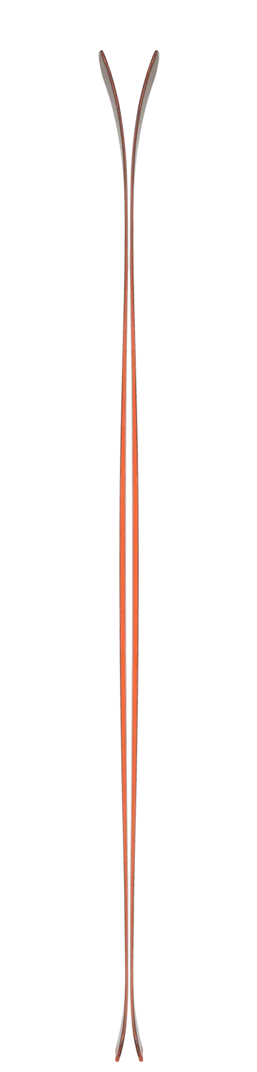 Zag Skis Ubac 110 skis freeride