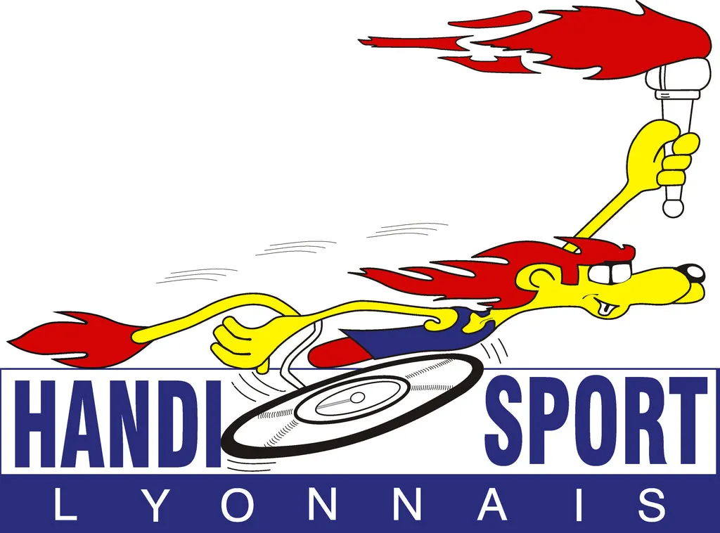 Top N Sport Don Handisport Lyonnais don